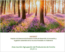 Acta constitución Sierra de Espadán