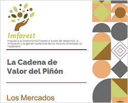 R13.1 (4)Business Case Piñón