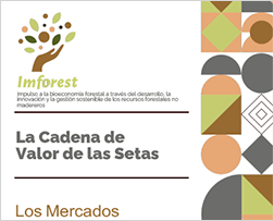 R13.1 (5)Business Case Setas