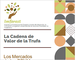 R13.1 (6)Business Case Trufa