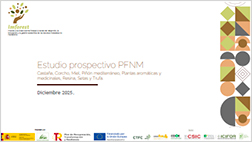 R13.1 (7) Estudio Prospectivo PFNM