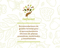 Recomendaciones de gestión forestal para el aprovechamiento silvestre de plantas aromáticas, medicinales y ornamentales