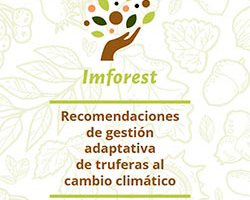 Recomendaciones de gestión adaptativa de truferas al cambio climático