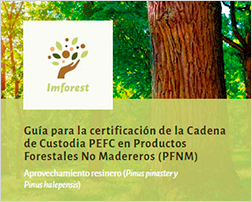 Guía certificación CDC resina