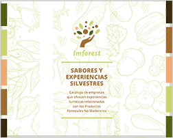 Catálogo de servicios turísticos