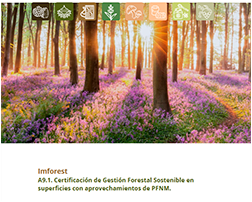 Informe de superficies certificadas
