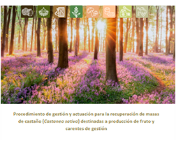Informe de rendimientos y costes de restauración de castañares