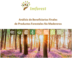 R3.2(3). Informe sobre el análisis de beneficiarias/os de PFNM