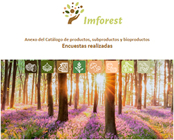 R3.1(2). Anexo del catálogo. Encuestas realizadas