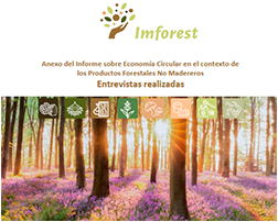 R3.2(2). Anexo del informe. Entrevistas realizadas