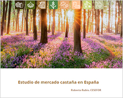 Estudio de mercado castaña