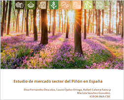 Estudio de mercado piñón