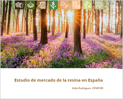 Estudio de mercado resina