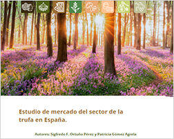 Estudio de mercado trufa