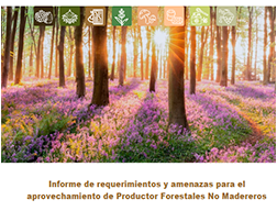 R1.2(1). Informe sobre requerimientos y amenazas para el aprovechamiento potencial de PFNM