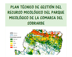 R6.2(2). Plan de gestión recurso micológico 
