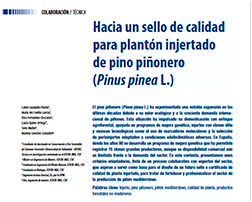 Hacia un sello de calidad para plantón injertado de pino piñonero