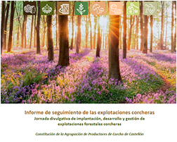 Informe de seguimiento de las explotaciones corcheras