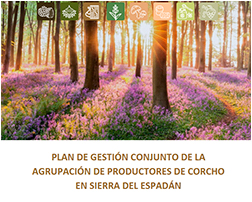 Plan de gestión conjunto de la Agrupación de Productores de Corcho en Sierra del Espadán