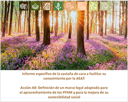 Informe específico de la castaña AEAT