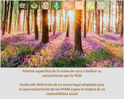 Informe específico de la resina TGSS