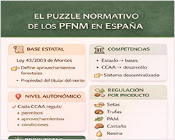 Infografía - El puzzle normativo de los PFNM en España