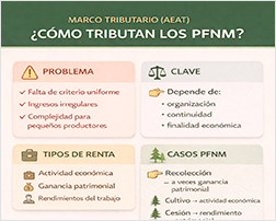 Marco tributario (AEAT) - ¿Cómo tributan los PFNM?