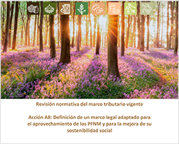 Revisión normativa del marco tributario vigente
