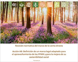 Revisión normativa del marco de la venta directa
