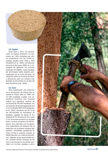 corcho-prensa2